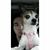 Myles Castillo's profile image