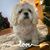 Marion Setter's profile image