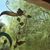 Lauphi Wils's profile image