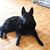 Tucker Heidi's profile image