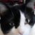 Andrea Cervantes's profile image