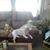 Sherre Loskill Valadez's profile image