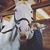 Tamsin Regan's profile image