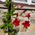 Jennifer Bruck Laforest's profile image