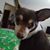 Susan Moody's profile image