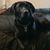 Vanessa Macmartin Underwood's profile image