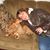 Mindy Finstad's profile image