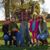 Kristin Helgesen Kraemer's profile image