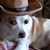 Lori Suhonen's profile image