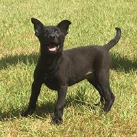 Taylor Barnes's profile image