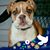 Lorraine Laxton's profile image