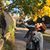 Suzanne Bradshaw's profile image