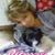 Florence Leatherman Tyler's profile image
