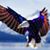Mark D Tuck Sr.'s profile image