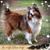 Janell Surette's profile image