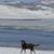 Teri Hoenstine's profile image