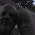 Randy Williams's profile image