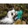 Anna Schuman's profile image