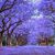 Marcela Quiñones's profile image