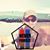Luke Boomer Embury's profile image