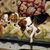 Lisa M Sargent Arsenault's profile image