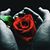 Heather Pressey's profile image