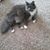 Mary Ann Sutherland's profile image
