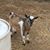 Crystal Adkisson's profile image