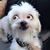 Christopher Wuest's profile image