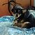 Sue Campbell Boska's profile image