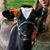 Lindsey McSutter's profile image