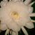 Catherine Hand Powell's profile image