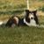 Wendy Stewart's profile image