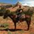 Kathy Brown's profile image