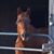 Mary Blume's profile image