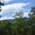 Jo Ann Snow Michels's profile image