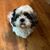 Lorena Swan's profile image