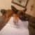 Mandy Dunlap's profile image
