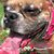 Lea Ann Hannum's profile image