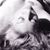 Sol Andrea's profile image