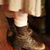 Martha Foose's profile image
