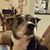 Pamela Fitzgerald's profile image
