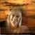 Ruth Patterson's profile image