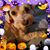 Lisa Ann Willis-Lanaville's profile image