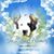 David Michael Sovis's profile image