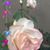 Sharon Riley Thomas's profile image