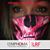 Lora Haugen's profile image