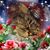 Nancy Pradel's profile image