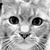 Carol Nordstrom's profile image
