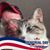 Steve Caka's profile image